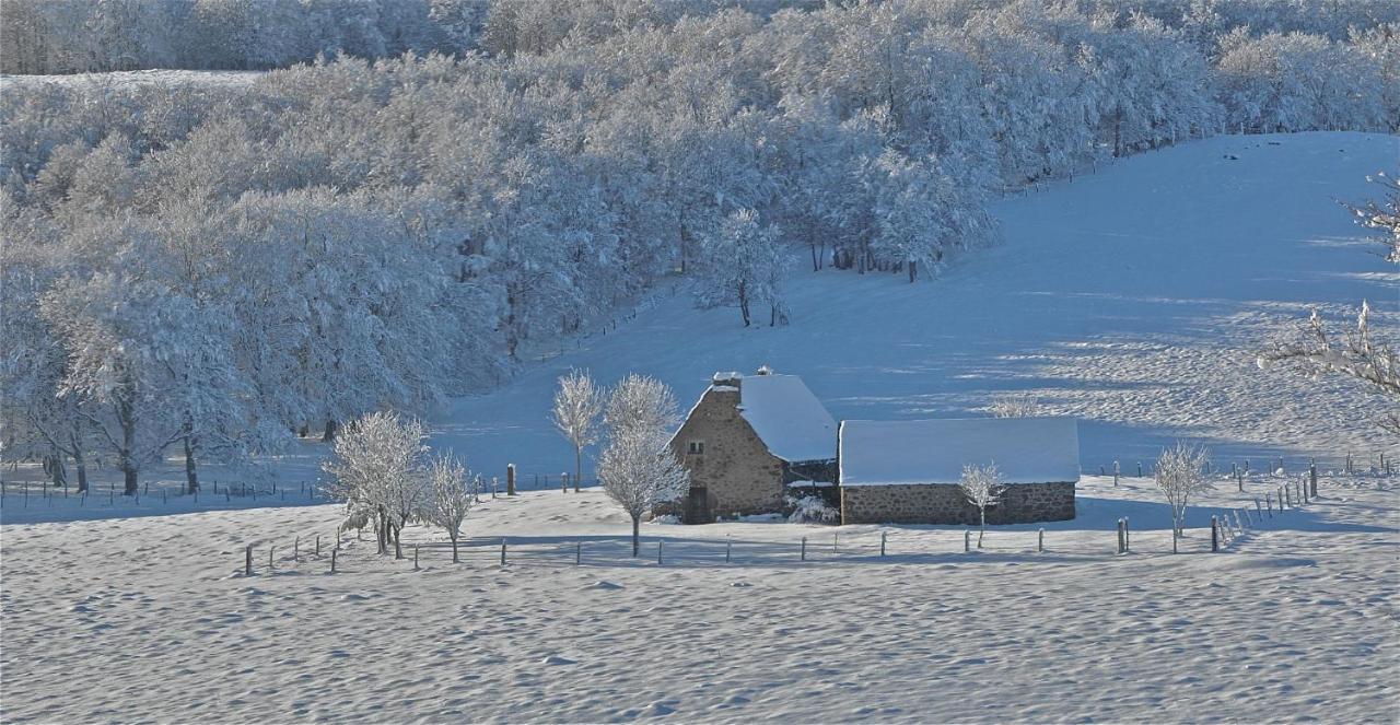 Aux Portes D'Aubrac Studio 2 Personnes Bed & Breakfast Condom-d'Aubrac Exterior photo