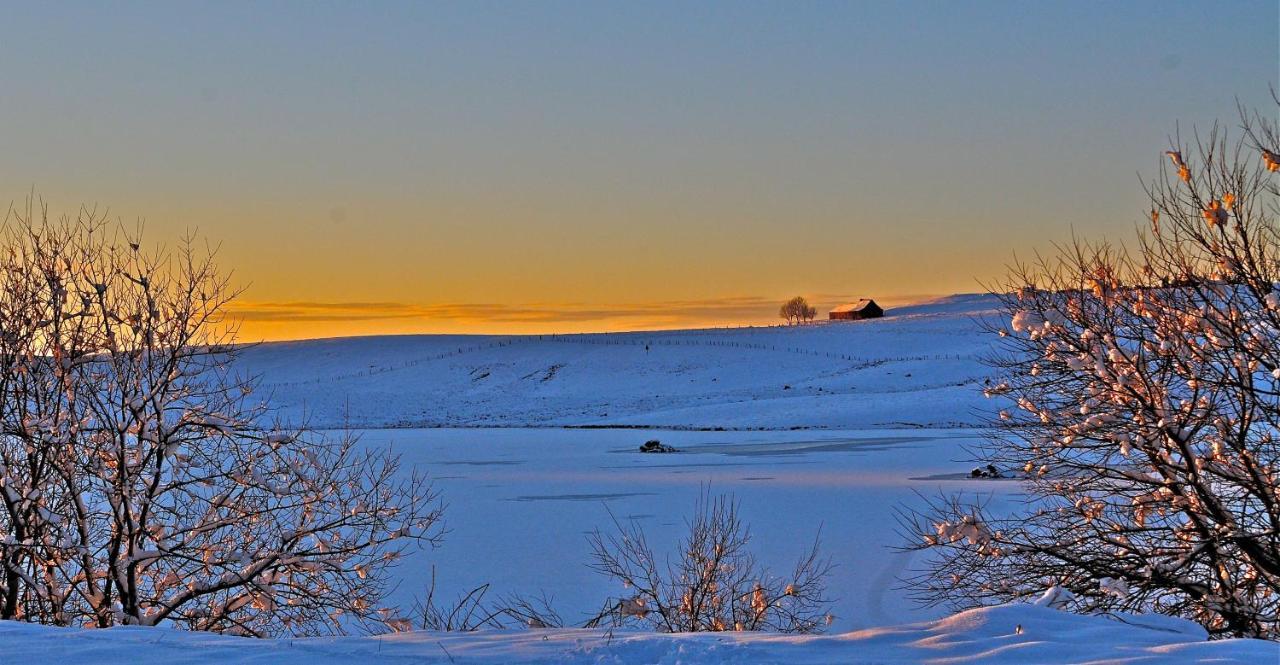 Aux Portes D'Aubrac Studio 2 Personnes Bed & Breakfast Condom-d'Aubrac Exterior photo